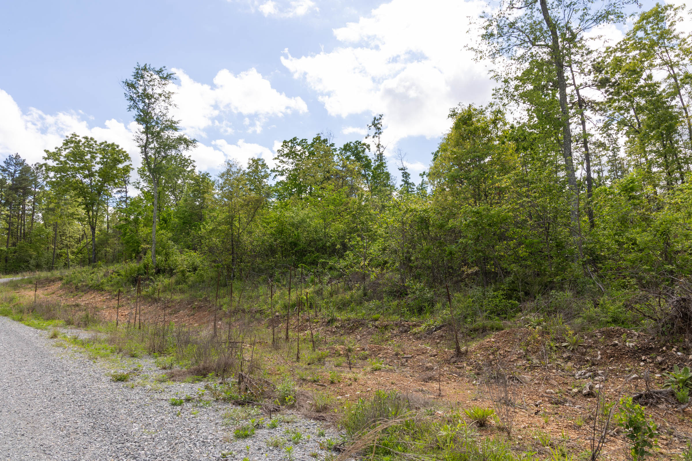 Tract 102 at Sleepy Hollow Phase II in Texas County, Missouri