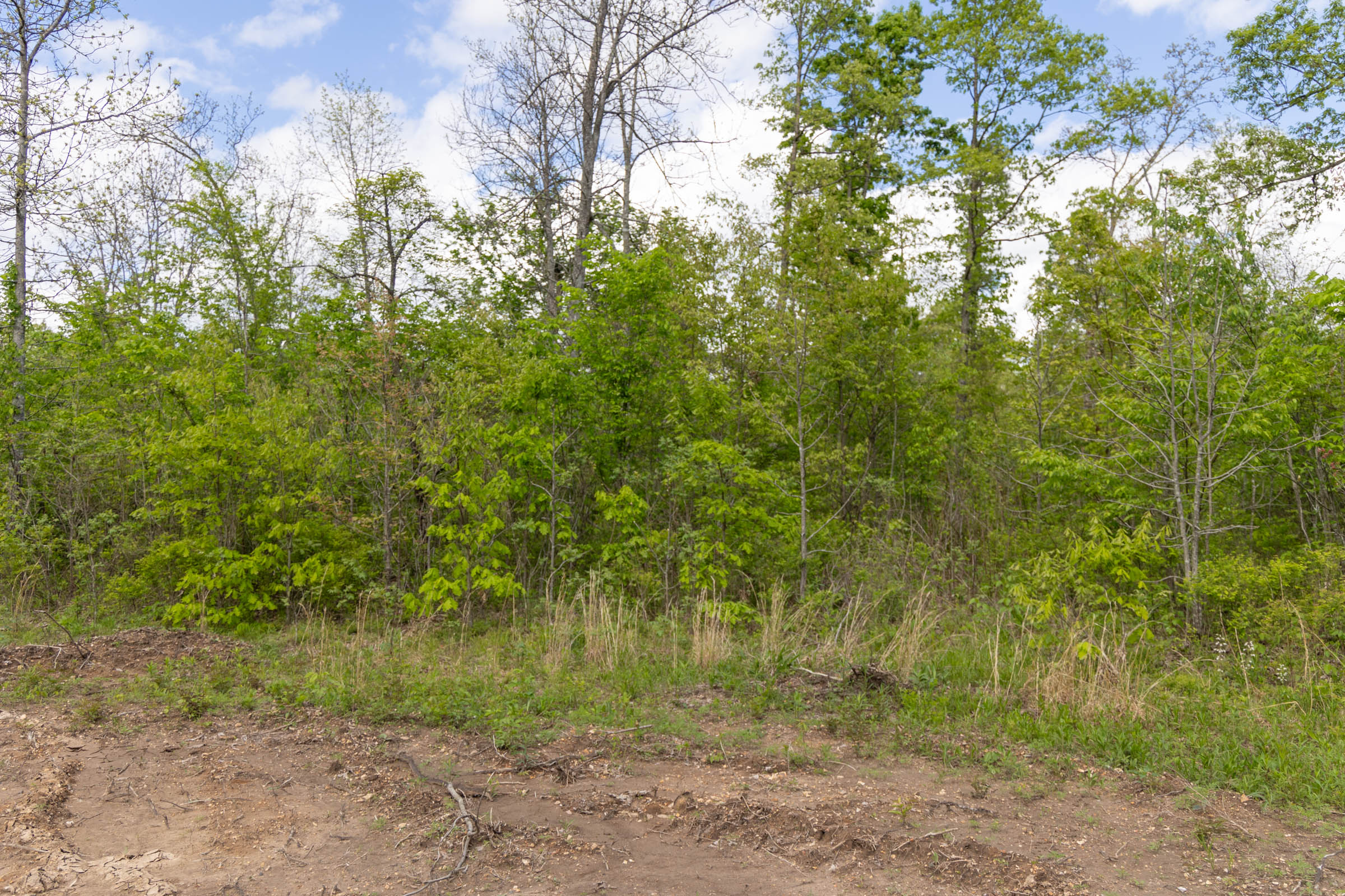 Tract 106 at Sleepy Hollow Phase II in Texas County, Missouri