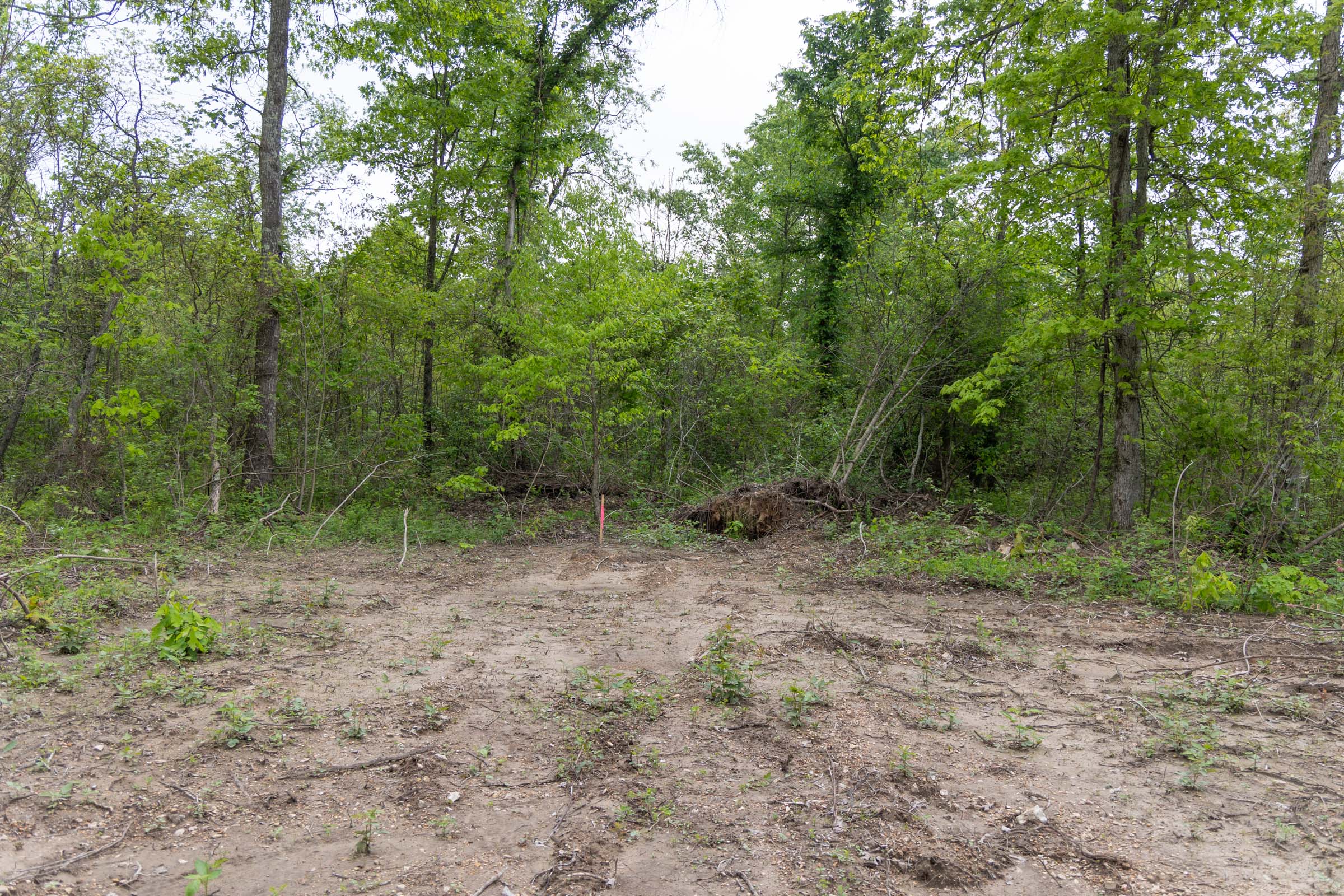 Tract 107 at Sleepy Hollow Phase II in Texas County, Missouri