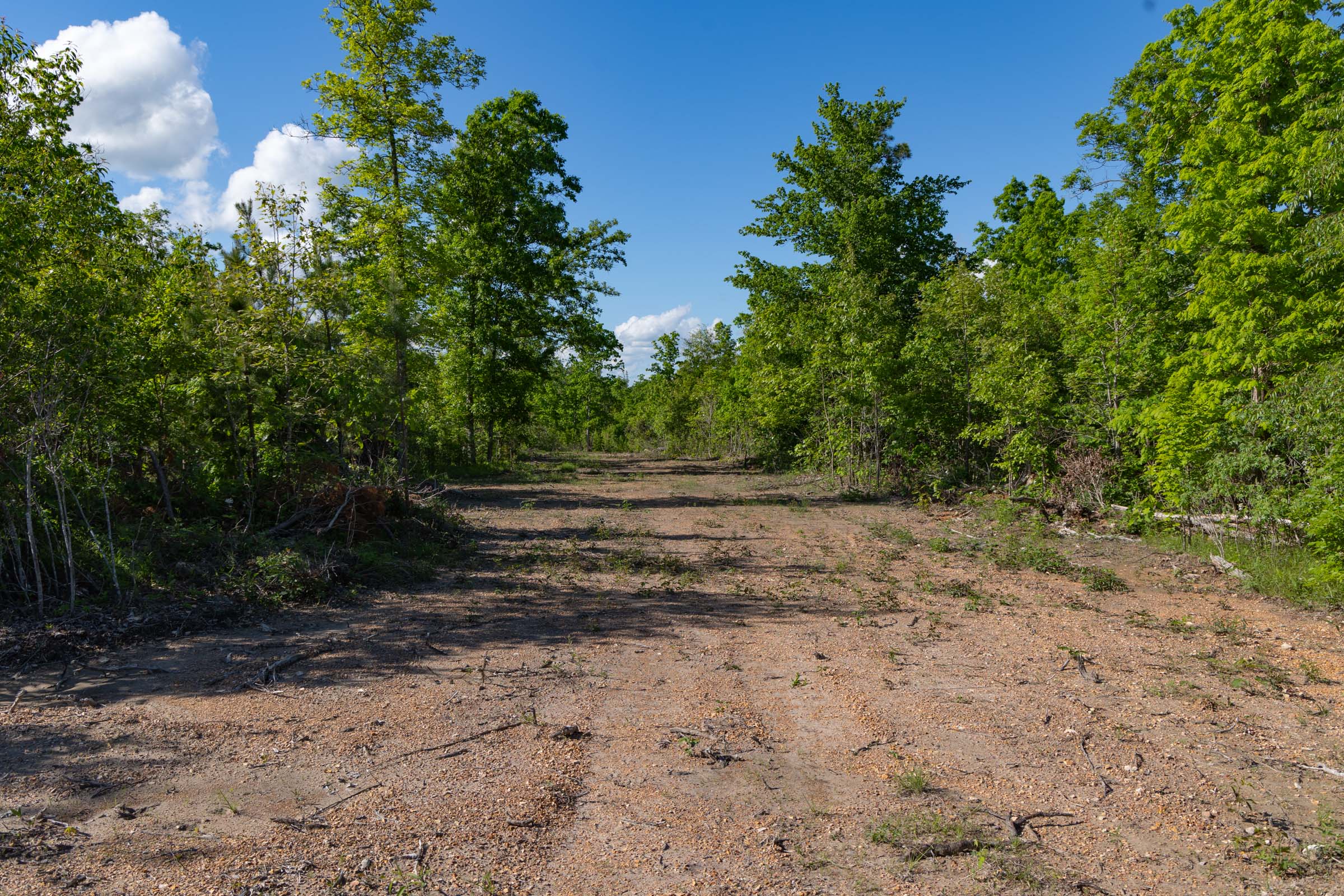 Tract 62 at Sleepy Hollow Phase II in Texas County, Missouri