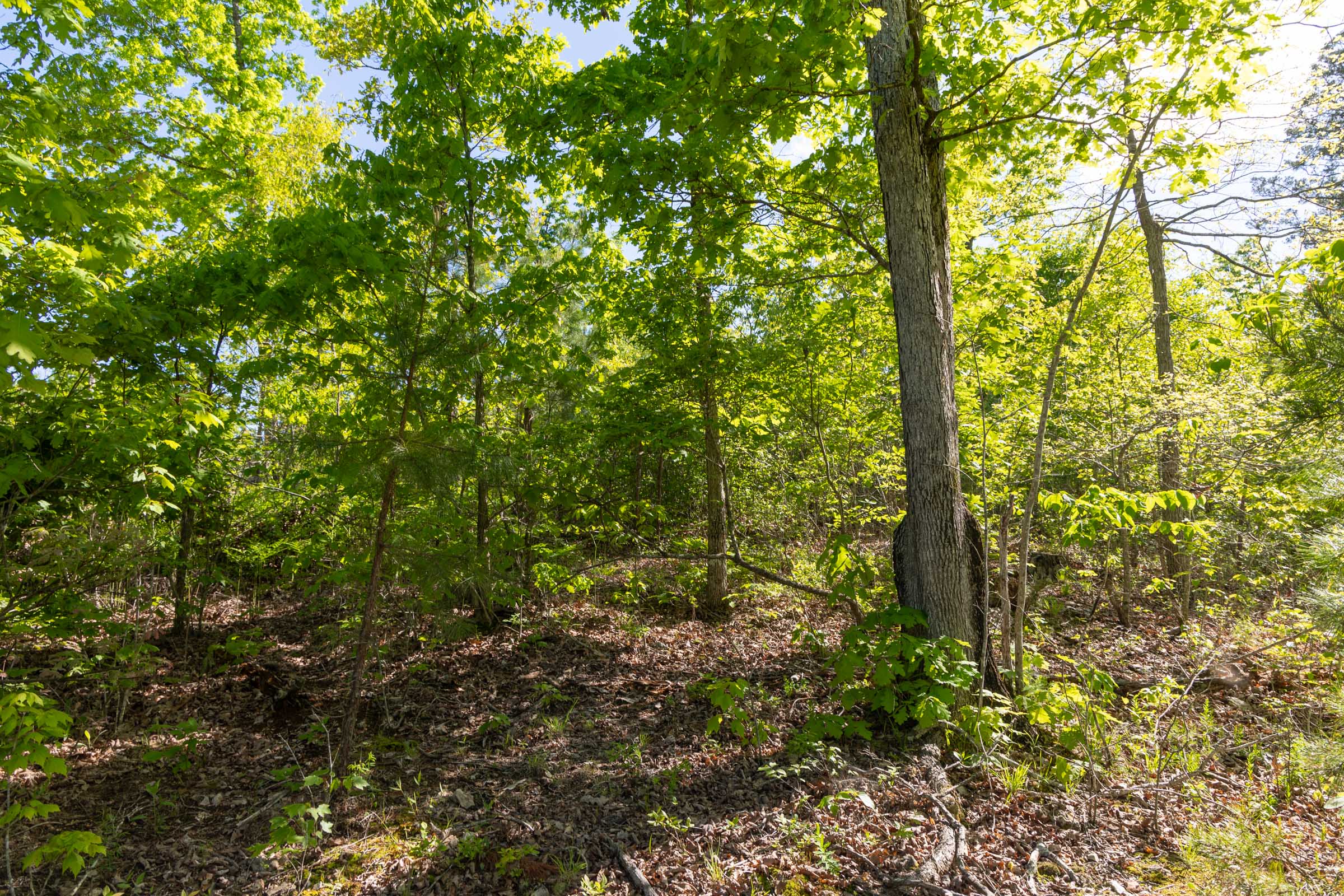 Tract 63 at Sleepy Hollow Phase II in Texas County, Missouri