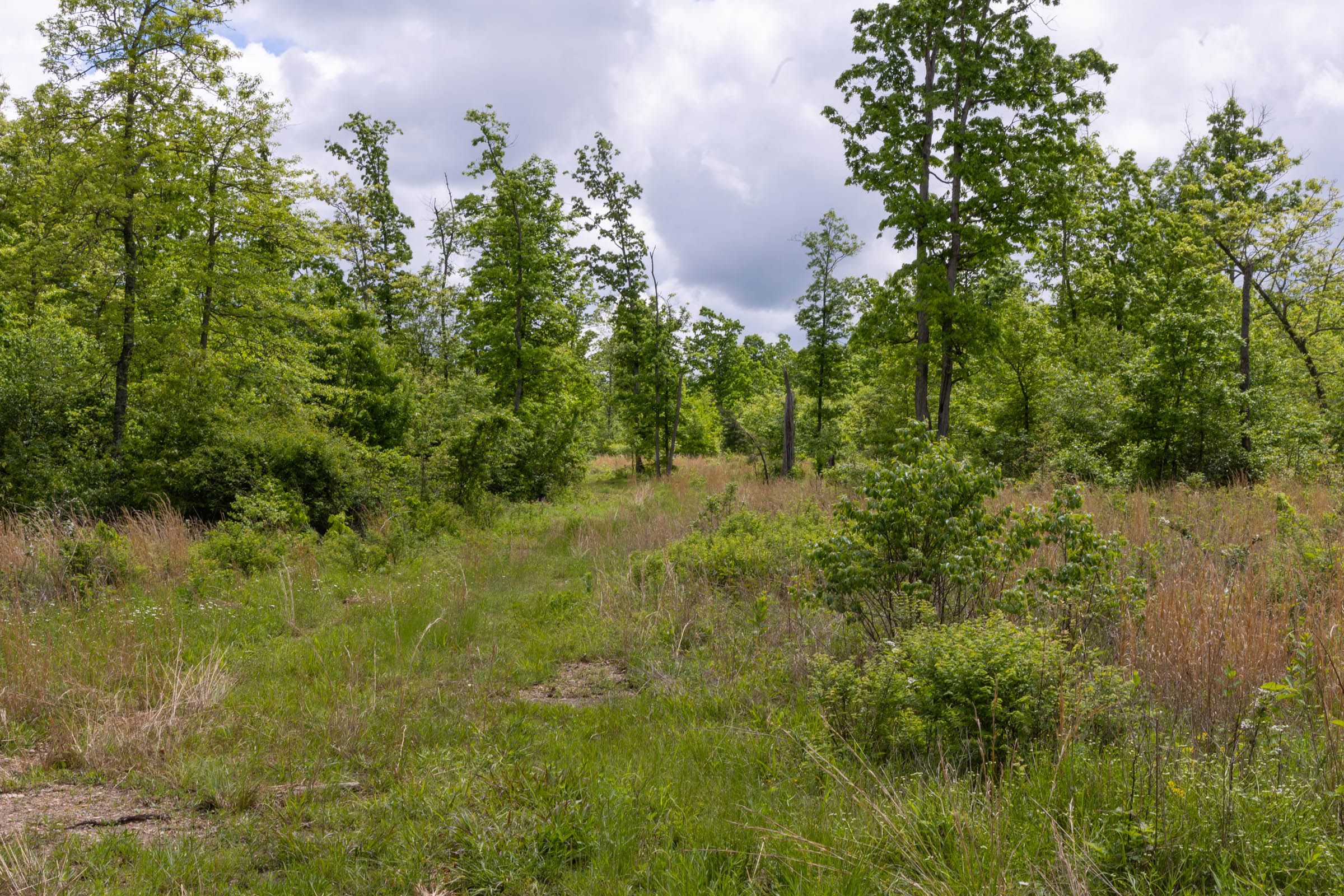 Tract 67 at Sleepy Hollow Phase II in Texas County, Missouri