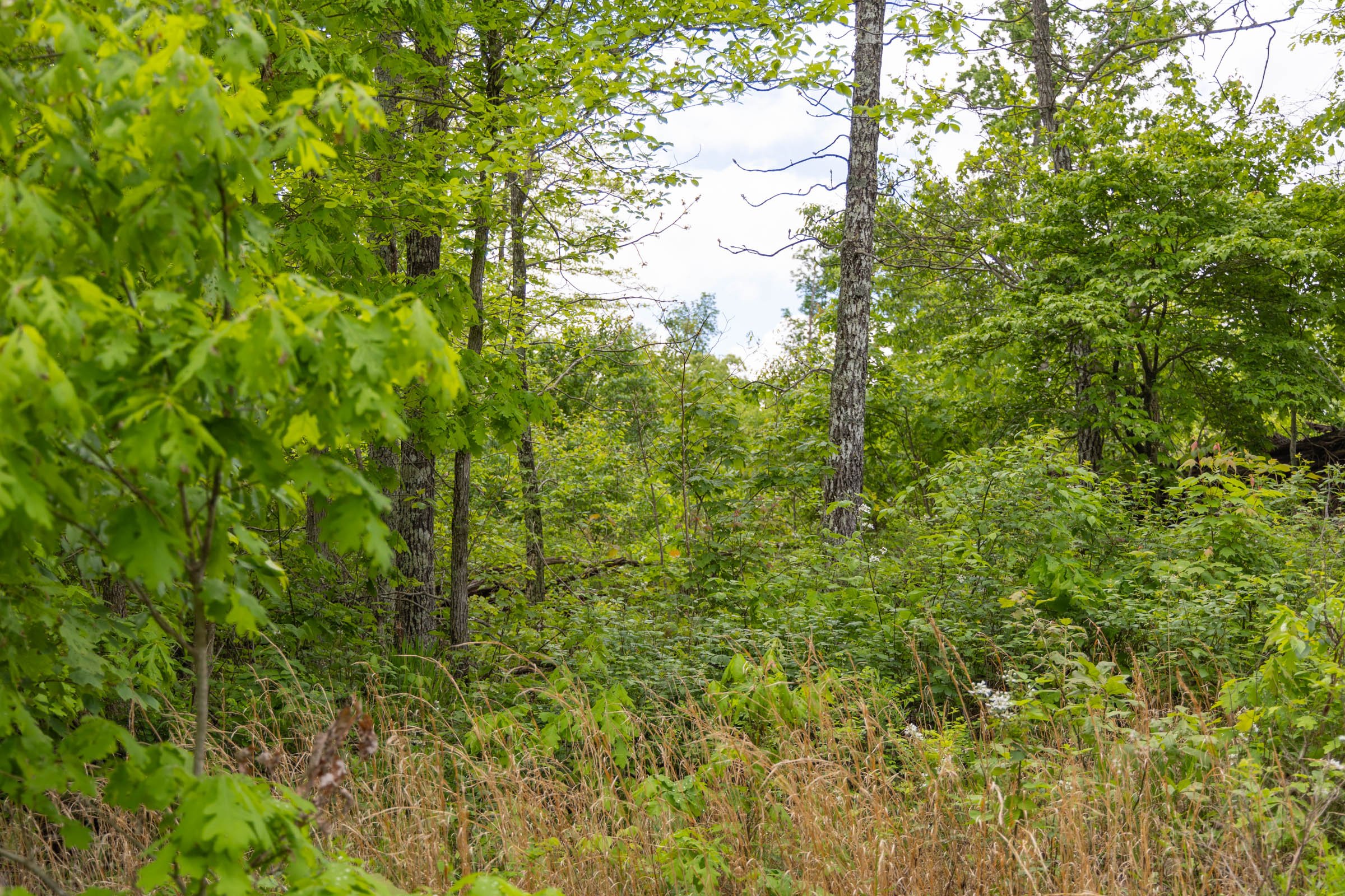 Tract 70 at Sleepy Hollow Phase II in Texas County, Missouri