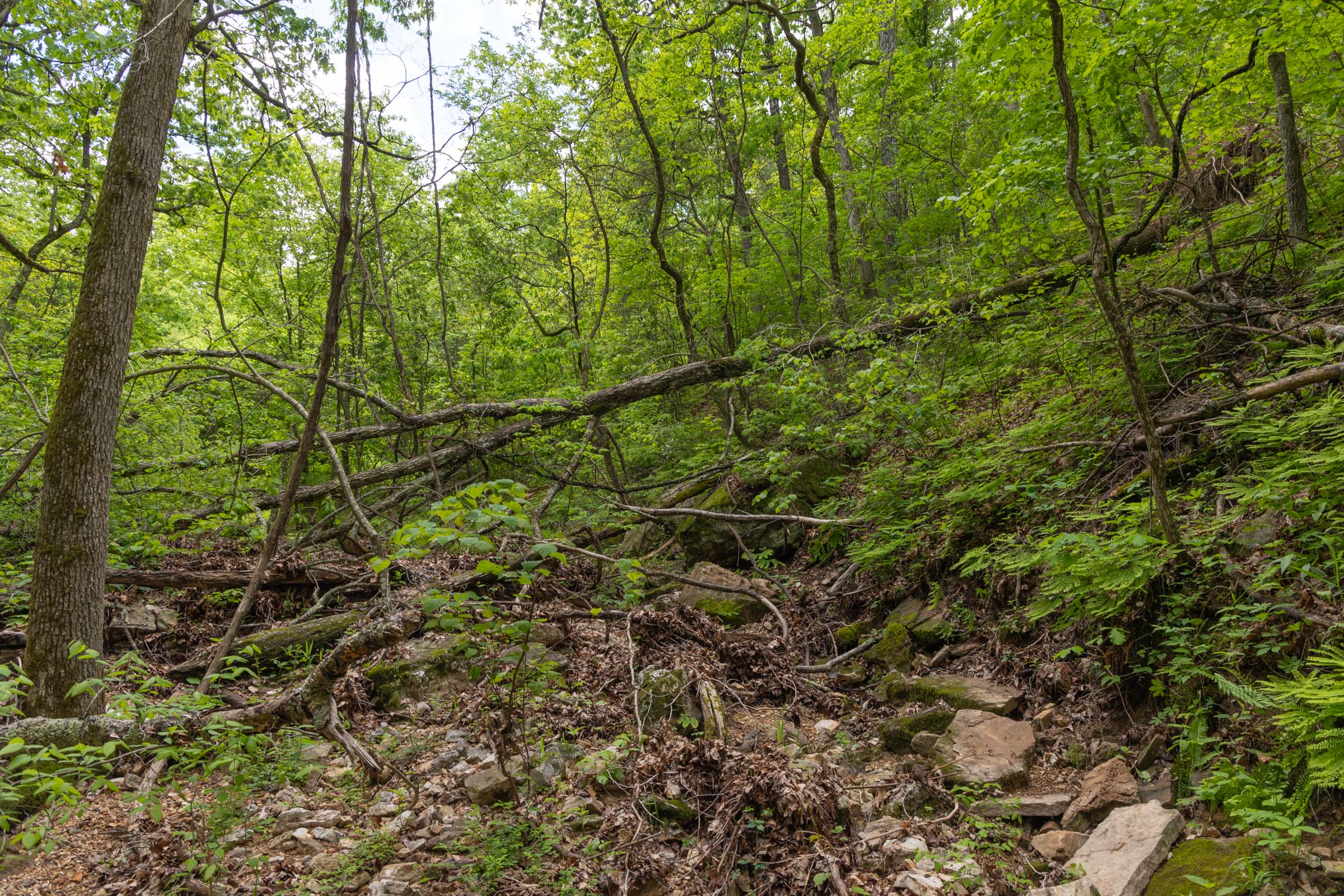 Tract 73 at Sleepy Hollow Phase II in Texas County, Missouri