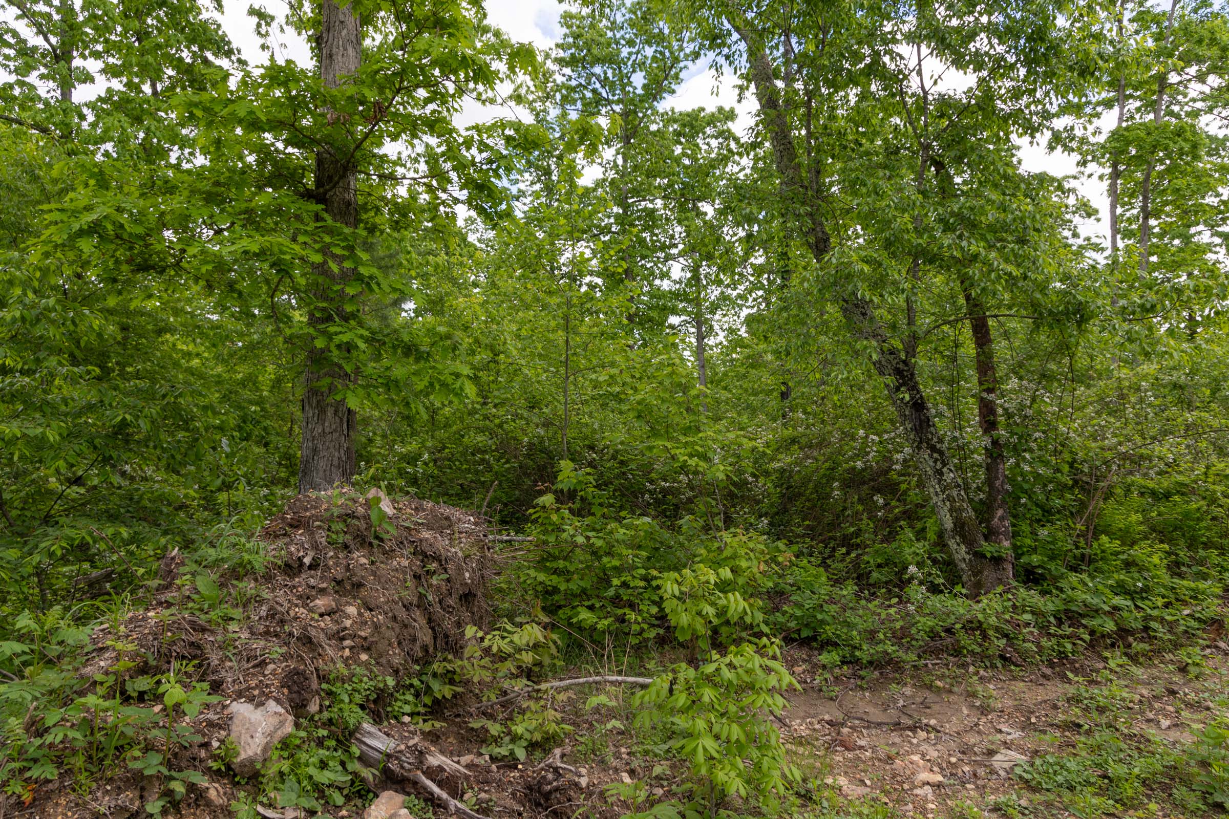 Tract 74 at Sleepy Hollow Phase II in Texas County, Missouri