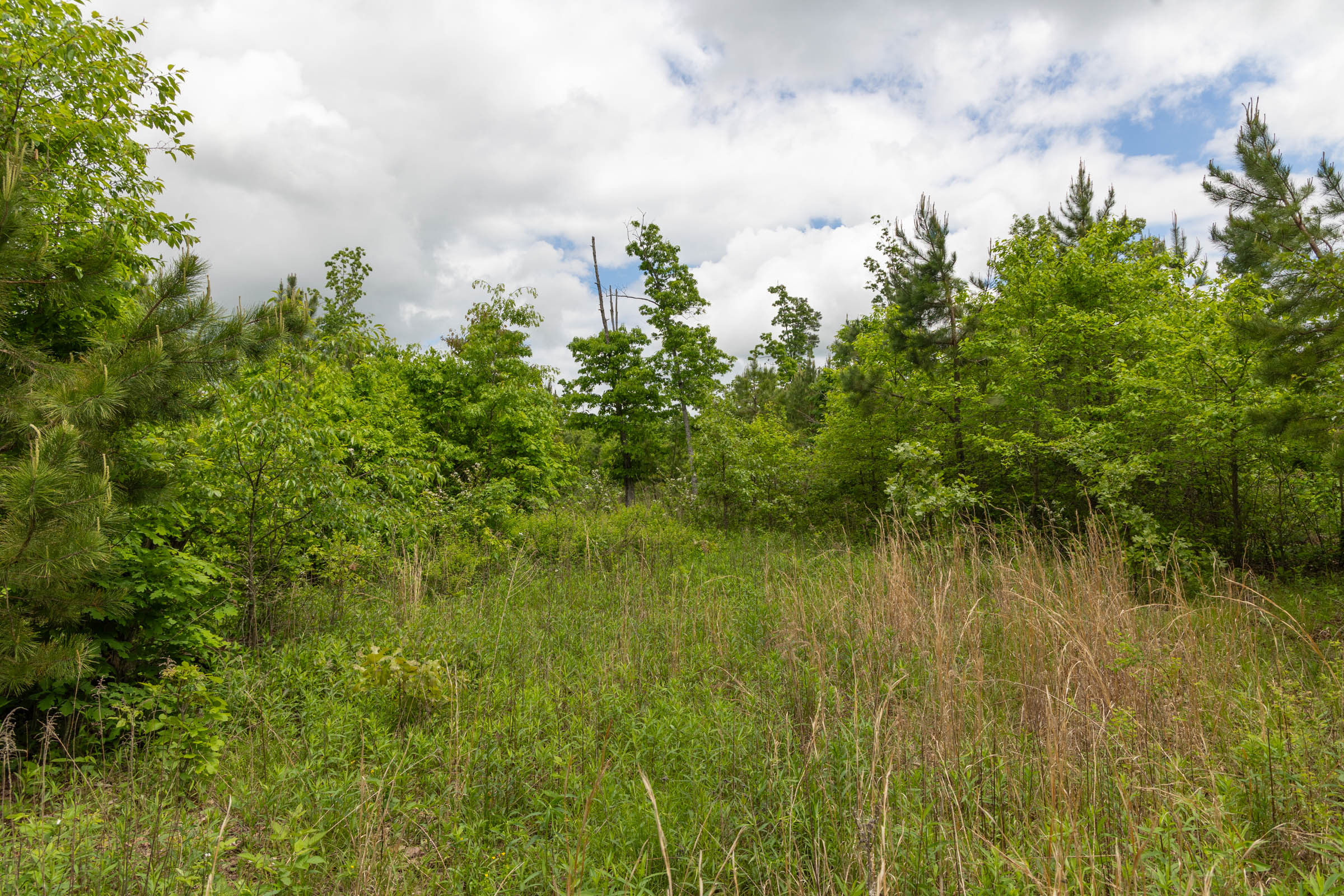 Tract 75 at Sleepy Hollow Phase II in Texas County, Missouri