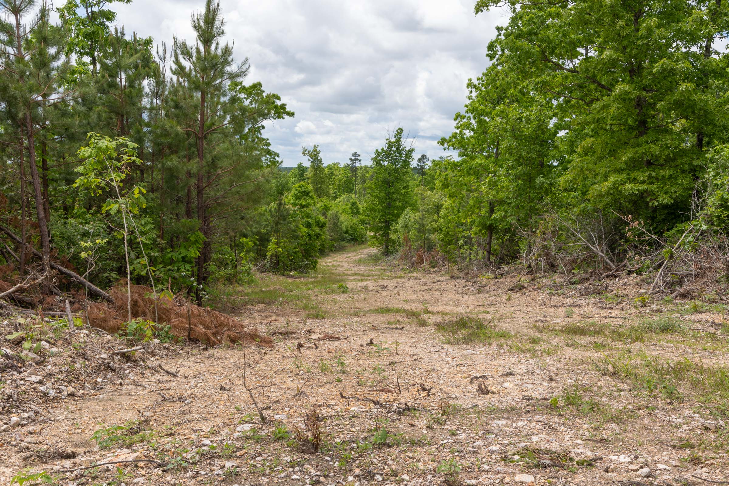 Tract 81 at Sleepy Hollow Phase II in Texas County, Missouri