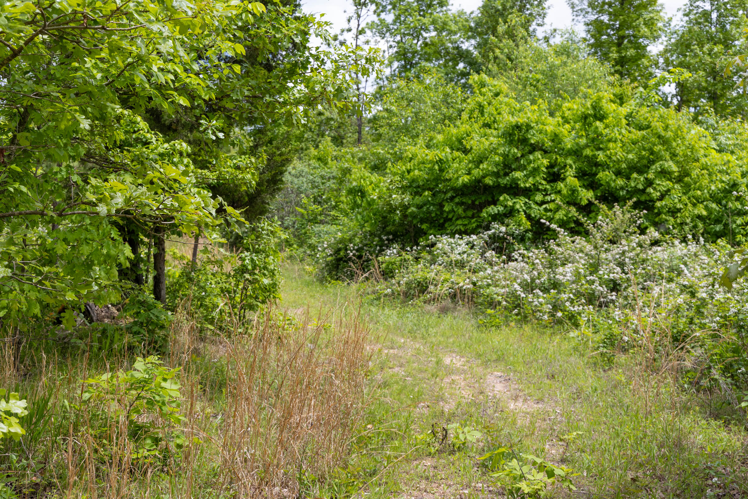 Tract 82 at Sleepy Hollow Phase II in Texas County, Missouri