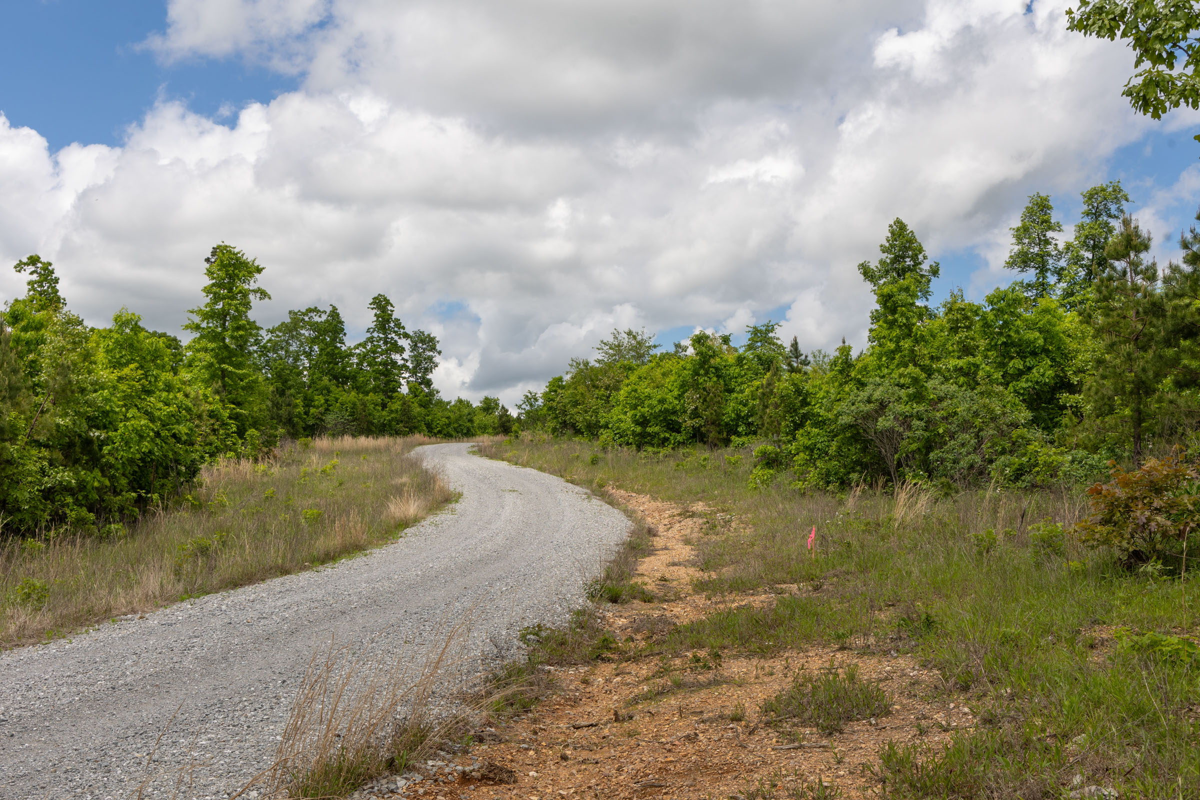 Tract 85 at Sleepy Hollow Phase II in Texas County, Missouri