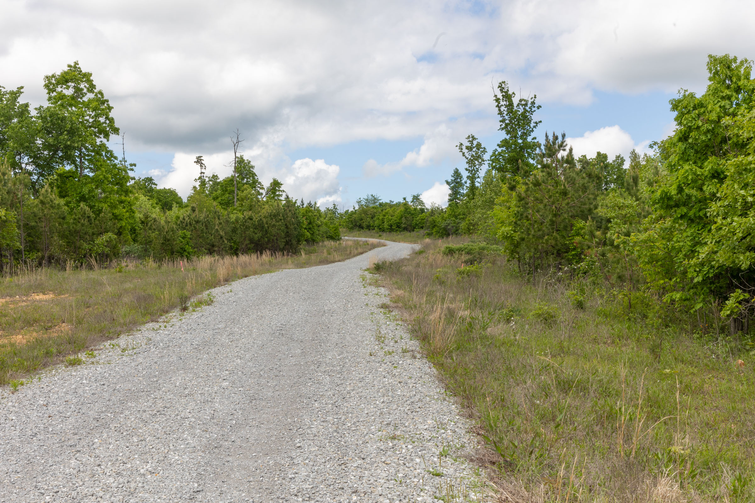 Tract 86 at Sleepy Hollow Phase II in Texas County, Missouri