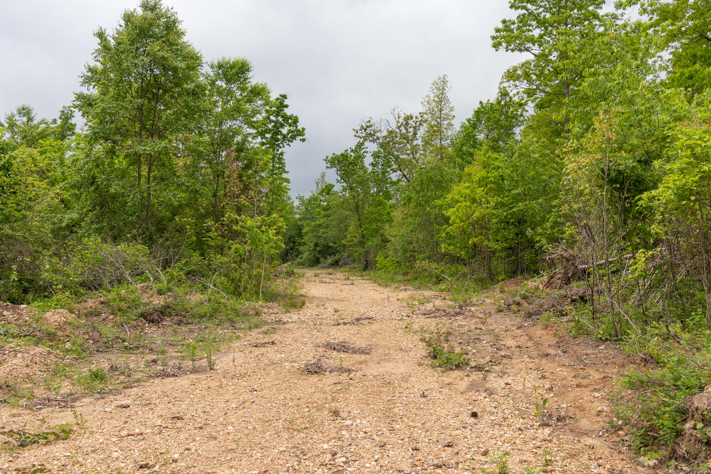 Tract 87 at Sleepy Hollow Phase II in Texas County, Missouri