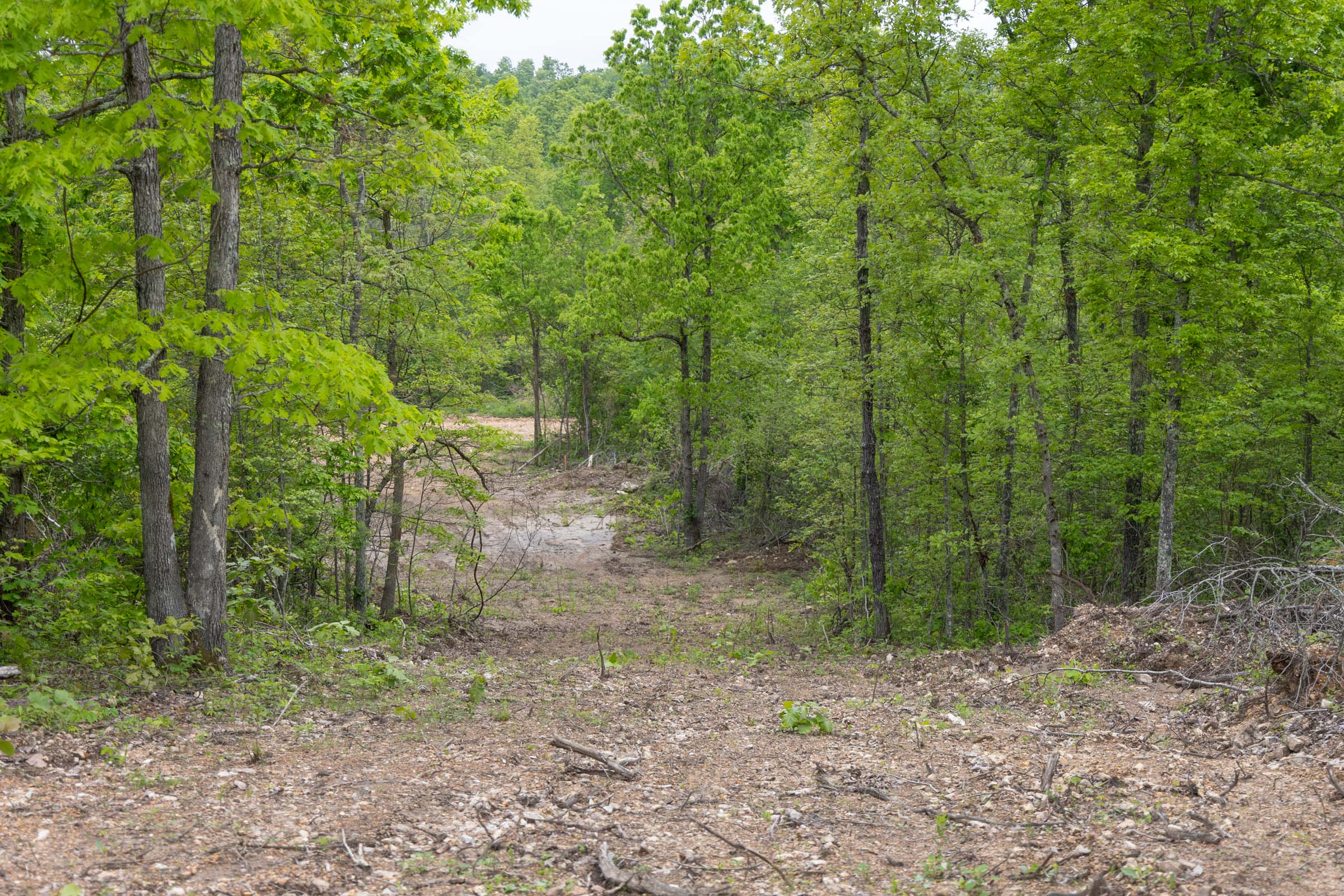 Tract 89 at Sleepy Hollow Phase II in Texas County, Missouri