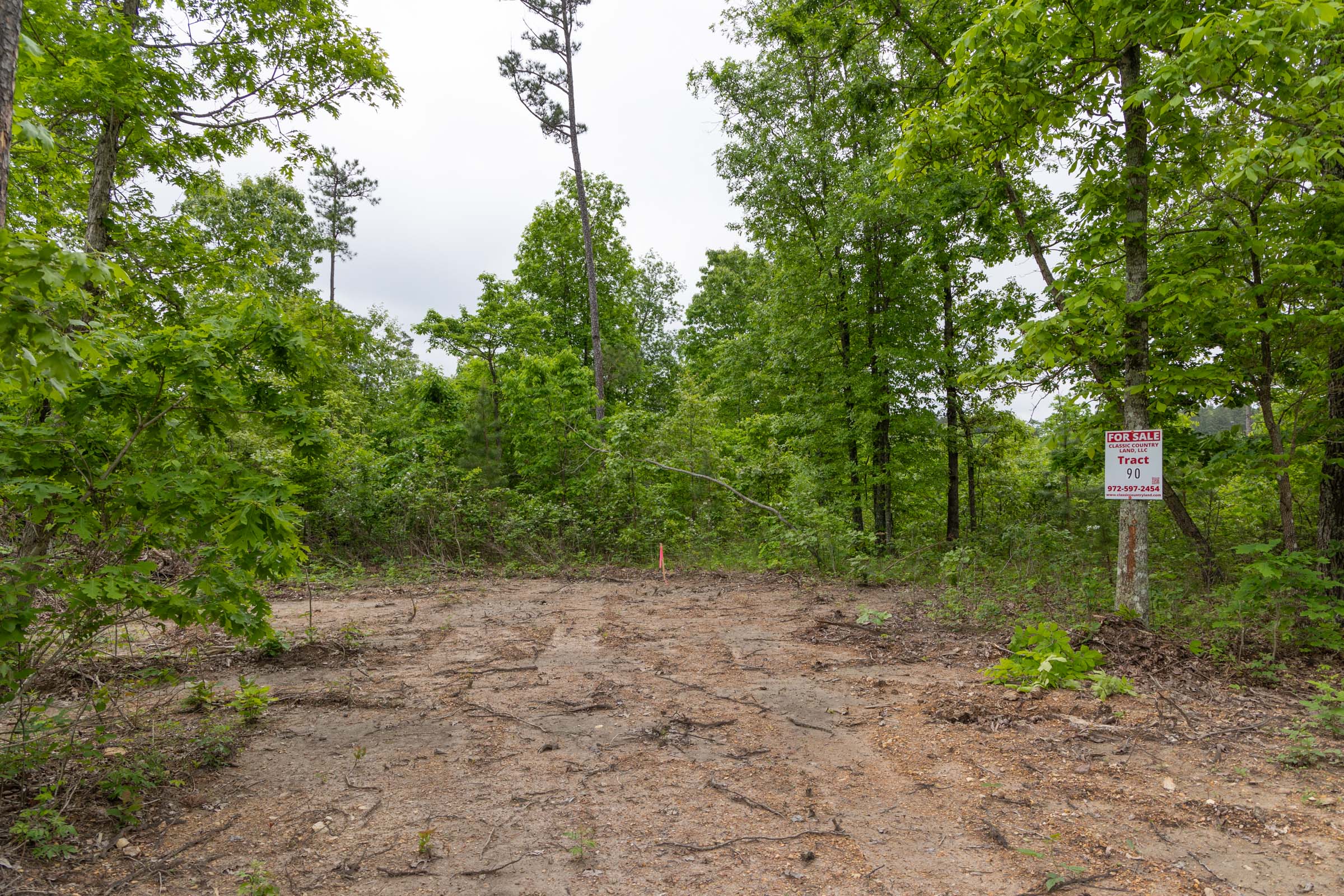 Tract 90 at Sleepy Hollow Phase II in Texas County, Missouri