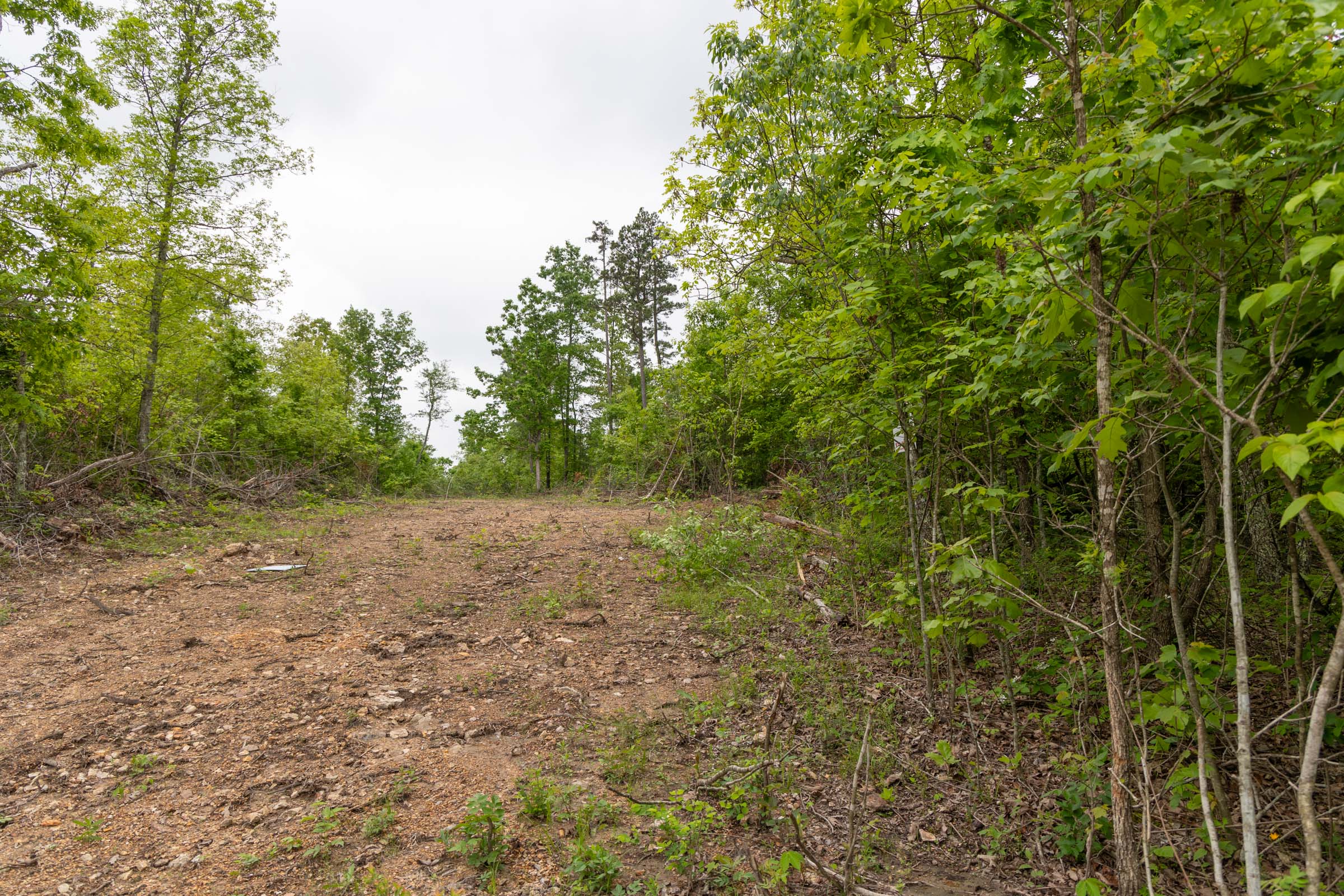 Tract 91 at Sleepy Hollow Phase II in Texas County, Missouri