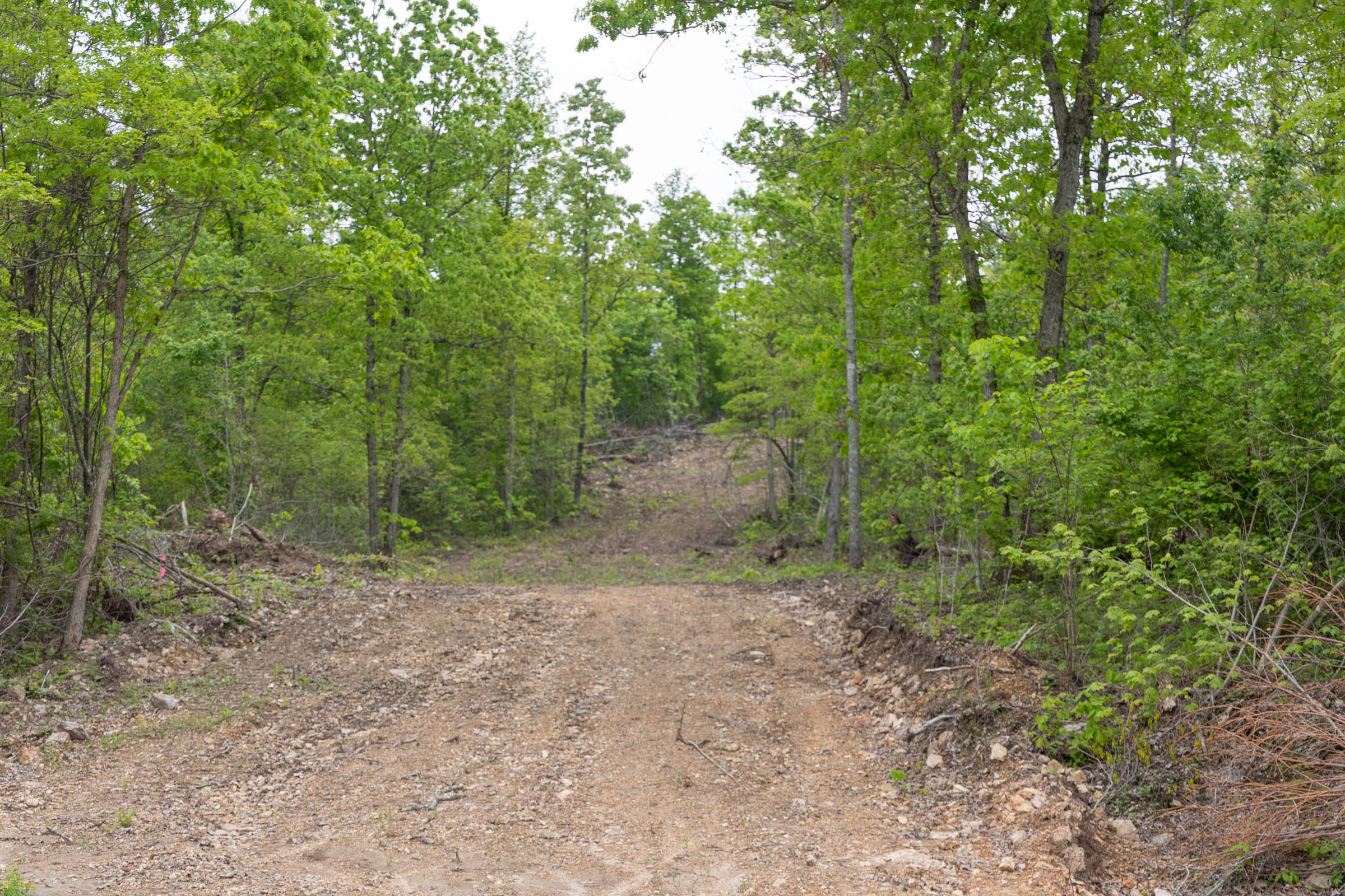 Tract 92 at Sleepy Hollow Phase II in Texas County, Missouri