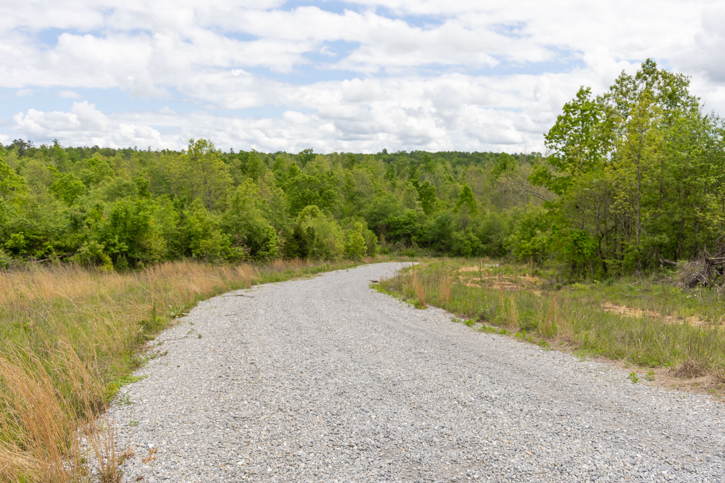 Tract 93 at Sleepy Hollow Phase II in Texas County, Missouri