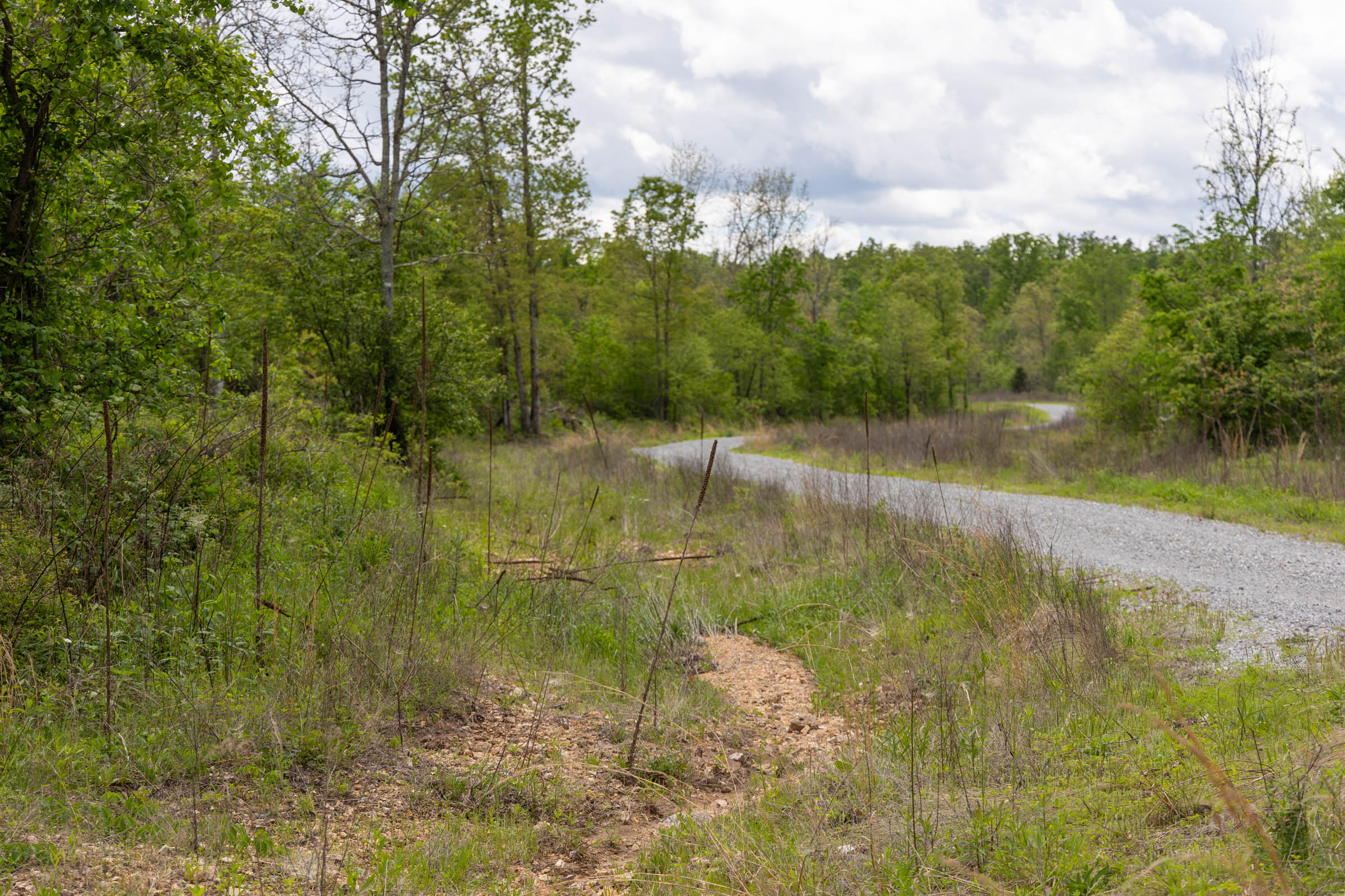 Tract 94 at Sleepy Hollow Phase II in Texas County, Missouri