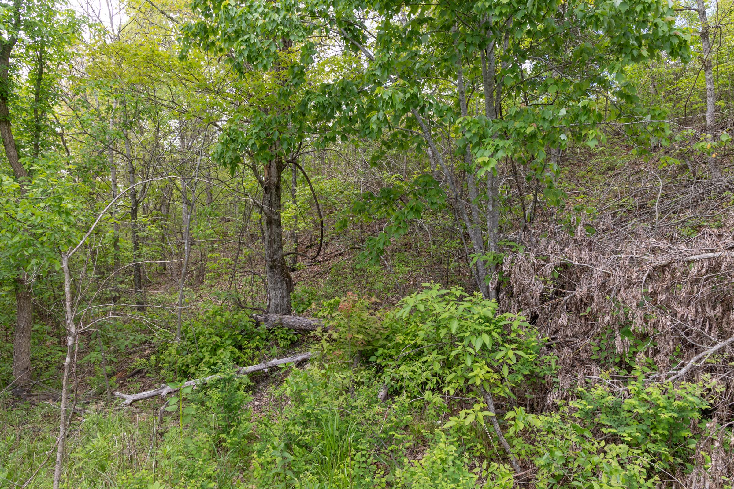 Tract 95 at Sleepy Hollow Phase II in Texas County, Missouri