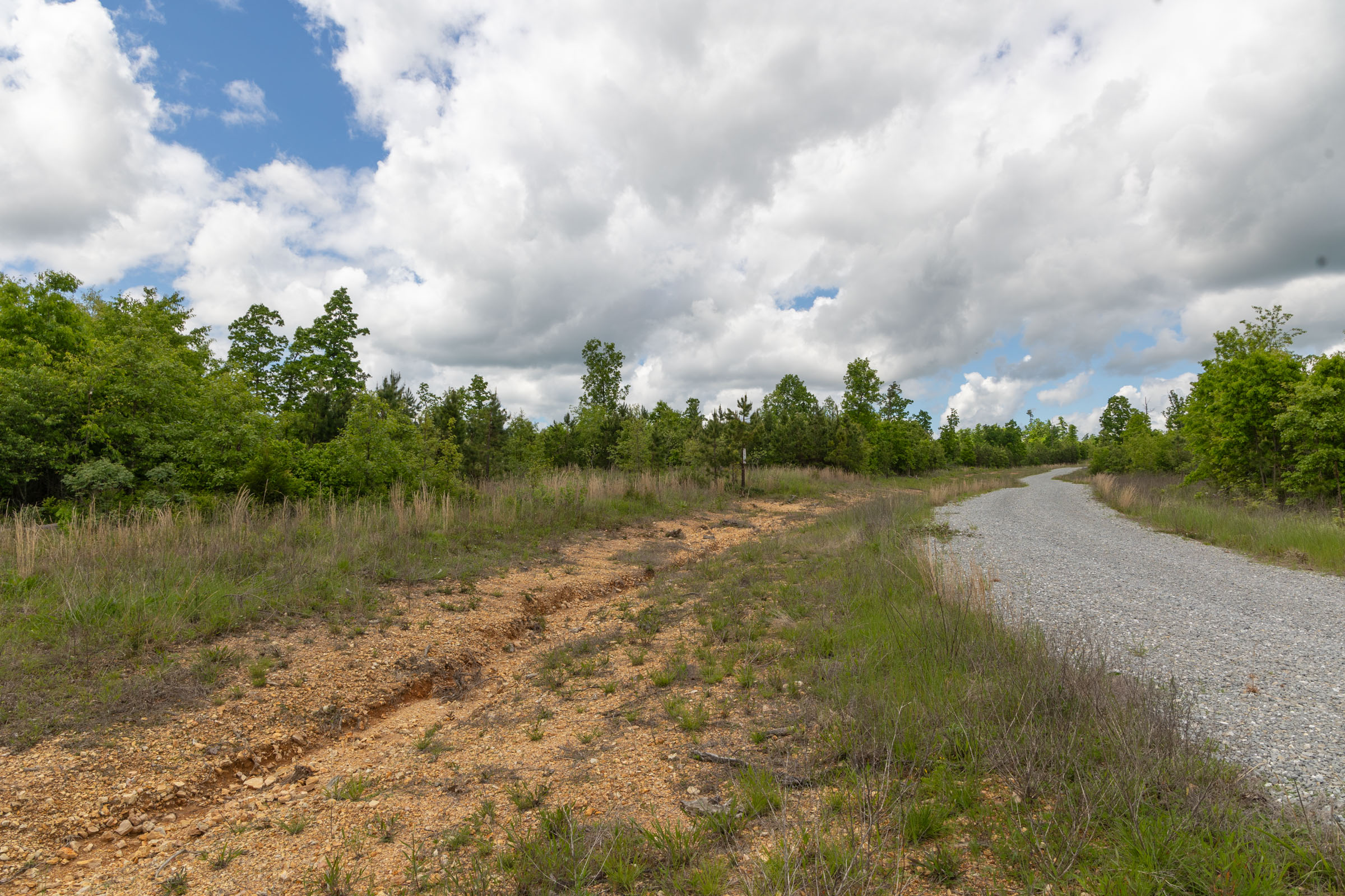 Tract 96 at Sleepy Hollow Phase II in Texas County, Missouri