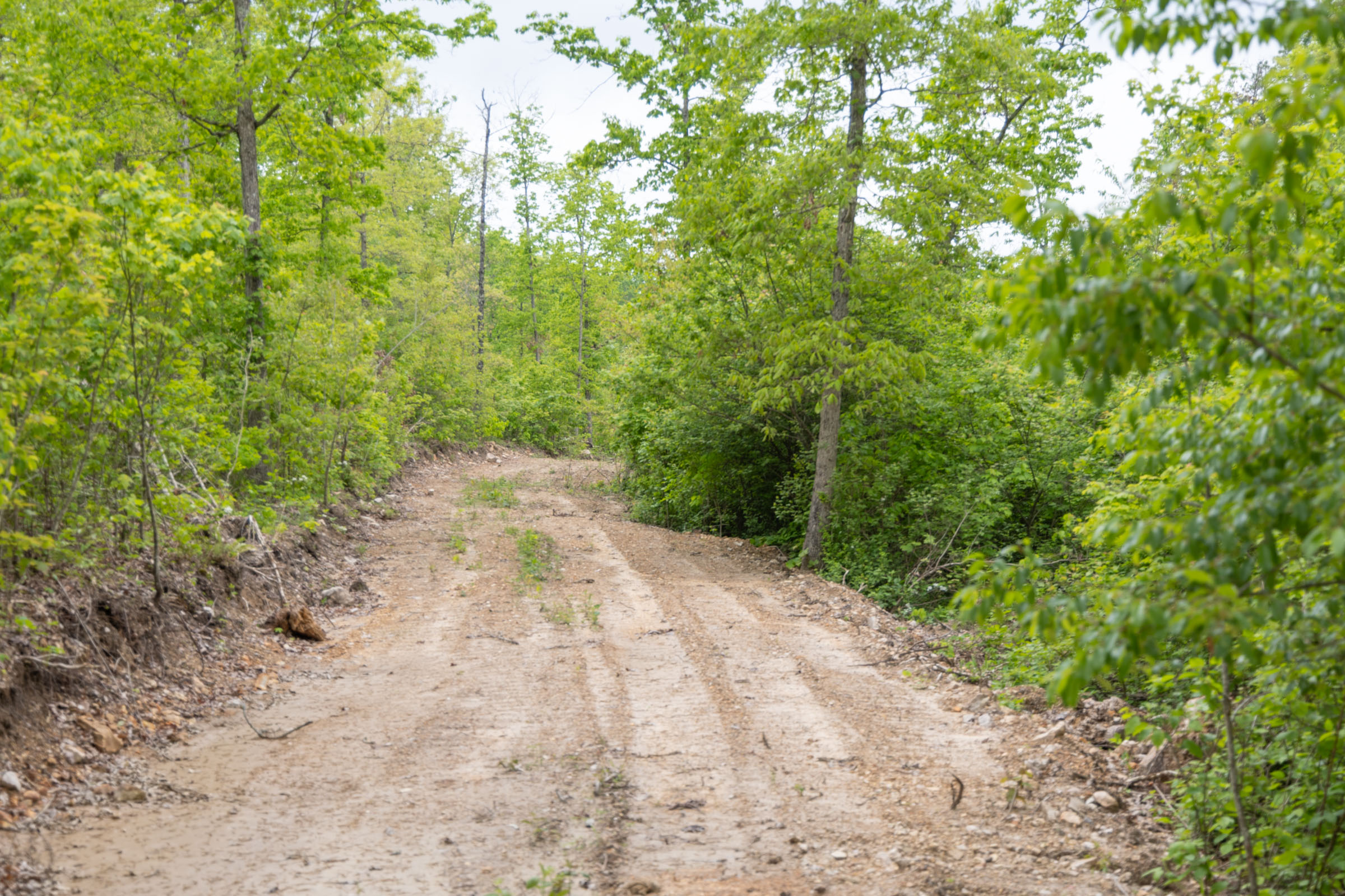 Tract 98 at Sleepy Hollow Phase II in Texas County, Missouri